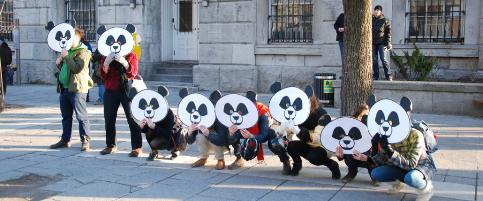 Des manifestant.e.s portent des masques de panda devant l'hotel de ville durant une manifestation